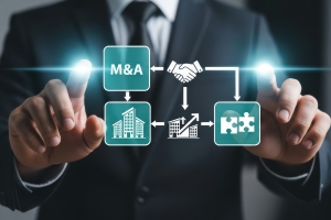 Representation of Successful Business Integration to Reduce Risk