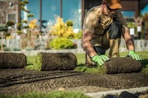 natural grass installation
