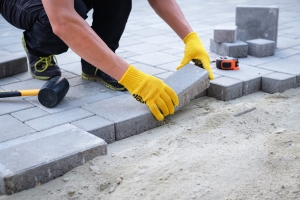 Expert Local Worker Laying Paving Stone in a Pathway